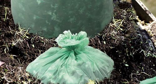 Aktuelle Unternehmensnachrichten über Sind kompostierbare Plastiktüten biologisch abbaubar?