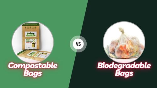 Aktuelle Unternehmensnachrichten über Compostable Bags vs. Biodegradable Bags